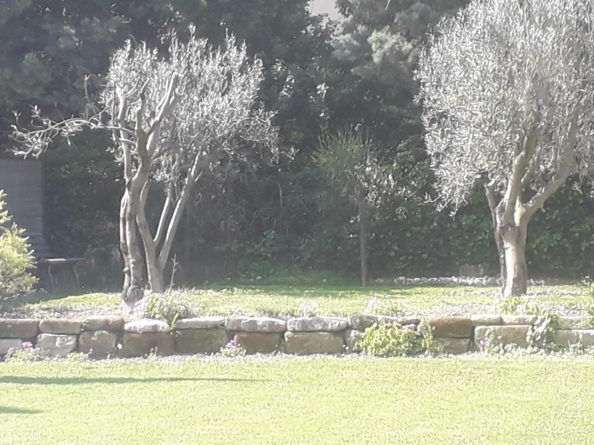 Mas" La Maison De Mon Pere " Proche Avignon A Pujaut 외부 사진
